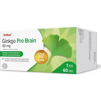 Přípravek na podporu paměti a spánku Dr. Max Ginkgo Pro Brain 60 mg 60 kapslí