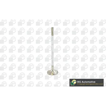 Ventil motoru BGA Výfukový ventil V016840