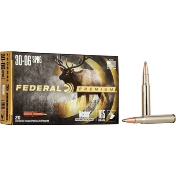 Sportovní střelba Federal Náboj kulový Federal, Vital Shok, .30-06 Spr., 165GR (10,6g), Nosler Partition