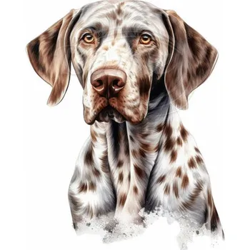 Textilní nažehlovací páska Dante Nažehlovačka Německý krátkosrstý ohař flíček - 10 x 12 cm