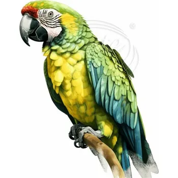 Textilní nažehlovací páska Dante Nažehlovačka Papoušek ara zelenokřídlý - 10 x 12 cm