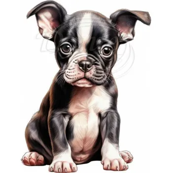 Textilní nažehlovací páska Dante Nažehlovačka Bostonský teriér štěně - 9 x 12 cm