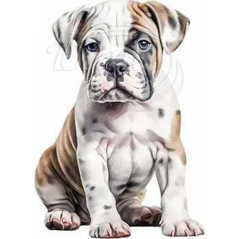 Textilní nažehlovací páska Dante Nažehlovačka Americký buldog štěně - 5 x 6 cm