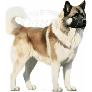 Textilní nažehlovací páska Dante Nažehlovačka Americká akita - 6 x 6 cm