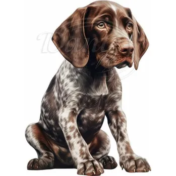 Textilní nažehlovací páska Dante Nažehlovačka Německý krátkosrstý ohař štěně - 8 x 12 cm