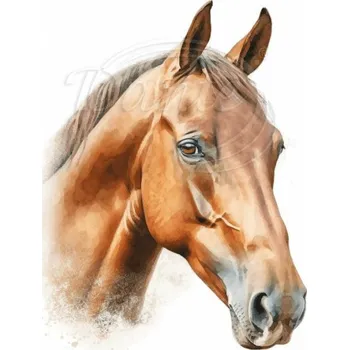 Textilní nažehlovací páska Dante Nažehlovačka Kůň hnědý hlava detail - 9 x 12 cm