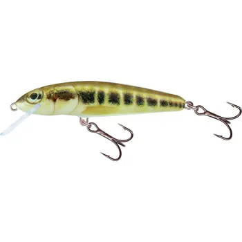 Umělá nástraha SALMO ® Wobler Salmo MINNOW MIN *: Wobler Salmo MINNOW M 6,0cm Floating