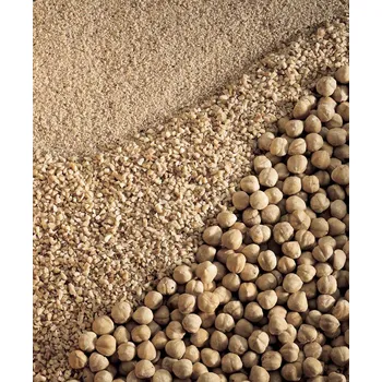 Pastry, s.r.o. PASTRY LÍSKOVÉ OŘECHY - KOUSKY 100g