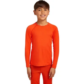 Oblečení a móda Dětské merino tričko s dlouhým rukávem ICEBREAKER Kids 200 Oasis LS Crewe, Fervid velikost: 14