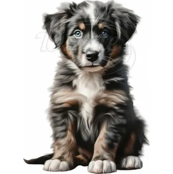 Textilní nažehlovací páska Dante Nažehlovačka Australský ovčák štěně - 9 x 12 cm