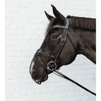 Čabraka pro koně Síťka na nos KENTUCKY - černá, FULL
