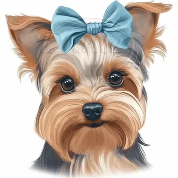 Textilní nažehlovací páska Dante Nažehlovačka Jorkšír s modrou mašlí - 6 x 6 cm