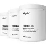 Multipack 3 ks - Vilgain Tribulus –⁠ přírodní extrakt standardizovaný na 90% obsah saponinů, doplněk stravy pro muže
