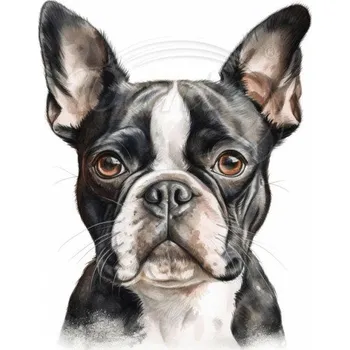 Textilní nažehlovací páska Dante Nažehlovačka Bostonský teriér hlava - 9 x 12 cm