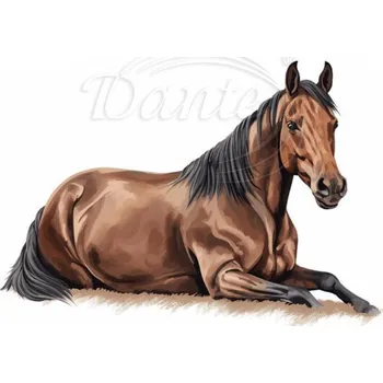 Textilní nažehlovací páska Dante Nažehlovačka Kůň hnědý ležící - 12 x 8 cm