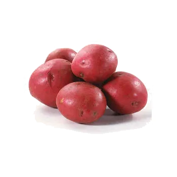 Zelenina Červené brambory na uskladnění červené á 25kg