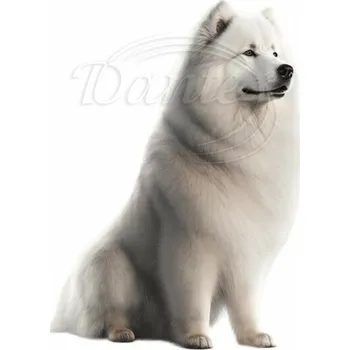 Textilní nažehlovací páska Dante Nažehlovačka Samojed - 9 x 12 cm