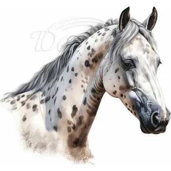 Textilní nažehlovací páska Dante Nažehlovačka Apaluský kůň hlava - 12 x 11 cm