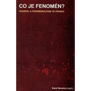 Co je fenomén?