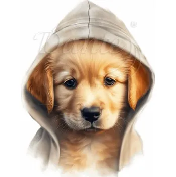 Textilní nažehlovací páska Dante Nažehlovačka Zlatý retrívr štěně s kapucí - 5 x 6 cm