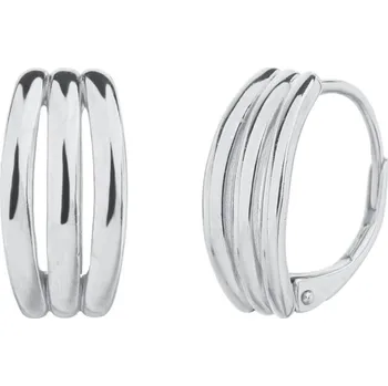 Náušnice Náušnice JVD SVLE3373XJ60000 stříbrné