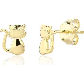 Náušnice Náušnice JVD SVLE3334XJ6GO00 stříbrné