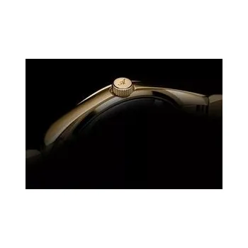 Hodinky Adriatica Hodinky A3802.1116AD Zlatá OS