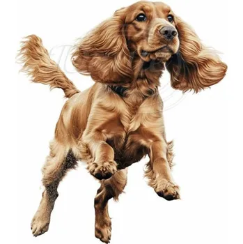 Textilní nažehlovací páska Dante Nažehlovačka Kokršpaněl skákající - 11 x 12 cm