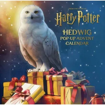 Cizojazyčná kniha Harry Potter: Hedwig Pop-up Advent Calendar - Reinhart, Matthew