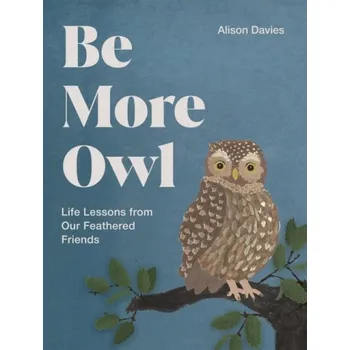 Cizojazyčná kniha Be More Owl - Davies, Alison
