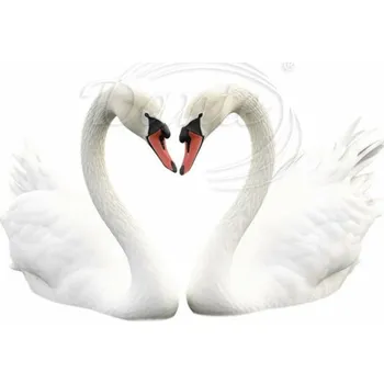 Textilní nažehlovací páska Dante Nažehlovačka Labutě zamilovaný pár - 12 x 7 cm