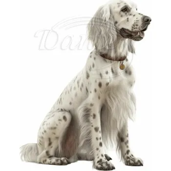 Textilní nažehlovací páska Dante Nažehlovačka Setr bíločerný,6