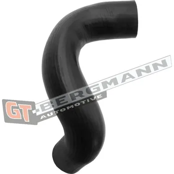 Turbodmychadlo Hadice plnícího vzduchu GT BERGMANN GT52-566