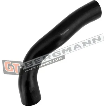 Turbodmychadlo Hadice plnícího vzduchu GT BERGMANN GT52-695