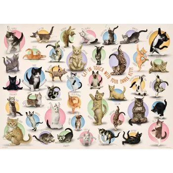 Puzzle EuroGraphics Kočičí jóga XL 500 dílků