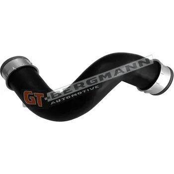 Turbodmychadlo Hadice plnícího vzduchu GT BERGMANN GT52-666