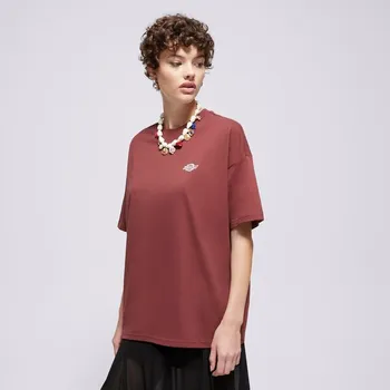 Pánské tričko Dickies Tričko Summerdale Ss Tee Hnědá S DK0A4Y1BL161