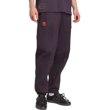 Pánské kalhoty Adidas FC Bayern 25/26 Terrace Icons Drill fialové