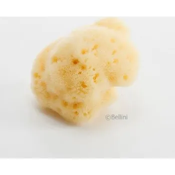 Pleťový krém ARGITAL BELLINI - Přírodní mořská houba - Středomořská FD5, 5-6 cm - SILK FINE