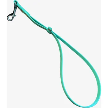 Upínací popruh VeterinarniKosmetika.cz BioThane popruh GROOMING LOOP VK 61 cm x 12 mm - mentolová