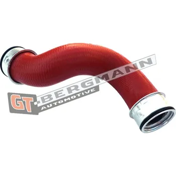 Turbodmychadlo Hadice plnícího vzduchu GT BERGMANN GT52-195