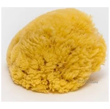 Pleťový krém ARGITAL BELLINI - Přírodní mořská houba - Karibská SC14, 13-14 cm