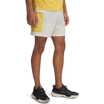 Under Armour Brown 1170204 L