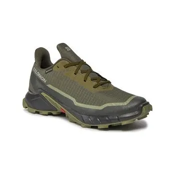 Pánská běžecká obuv Běžecké boty Salomon Alphacross 5 Gtx GORE-TEX 473103 29 W0 Zelená 48