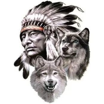 Samolepicí dekorace na vozidlo Samolepící dekory "AVISA" indián s vlky