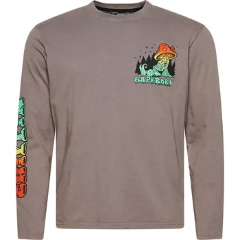 Pánské tričko Pánské Tričko s dlouhým rukávem SUPERDRY VINTAGE INTO THE WOODS LS TOP M6010677AHFG – Šedá S
