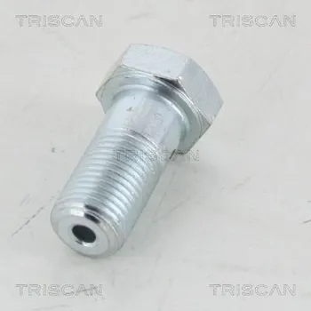 Autodílna Dutý šroub TRISCAN 8105 3251