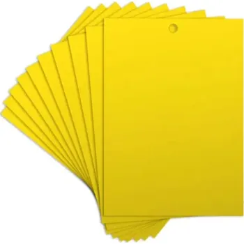 Příslušenství pro skleník 10 ks oboustranná lepící past na hmyz 20 x 15 cm Lepící desky proti mouchám komárům a molům Netoxická ochrana domácnosti zahrady