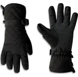Dare2B Glizt Ski Glove DWG367 800 velikost: L