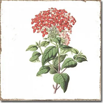 Mýdlenka FORLI obklad Flowers Decor Mix 15x15 FOL011